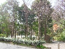 山口白山公園
