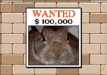 WANTED