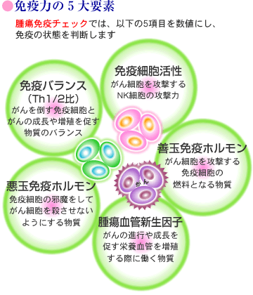 免疫力の5大要素