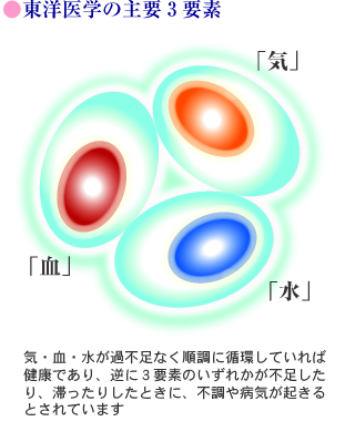 東洋医学の主要3要素