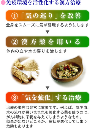 免疫環境を活性化する漢方治療