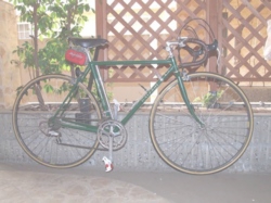 bicycle03.jpg