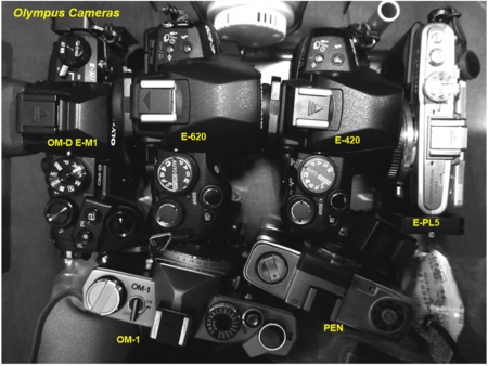 Olympus Cameras.jpg