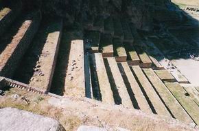�I�������^�C�^���{�Q